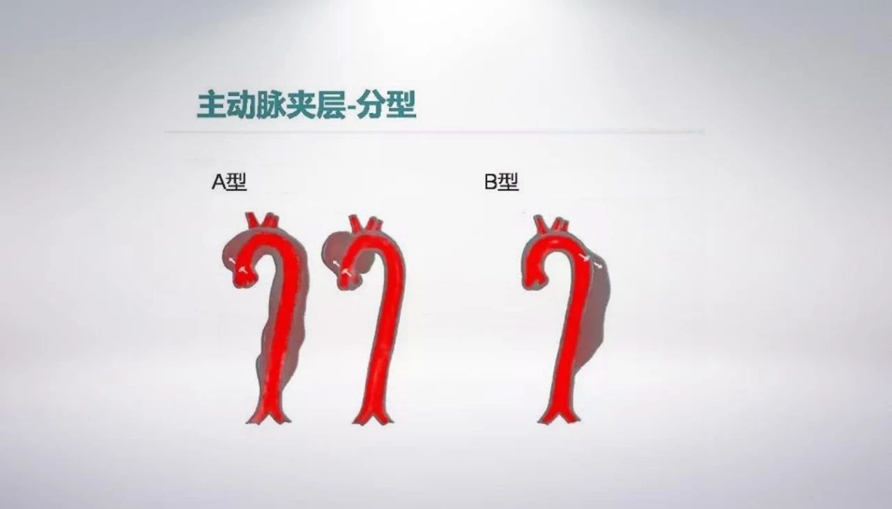 微信图片_20190614090441.jpg