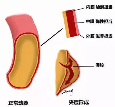 微信图片_20190708145727.jpg