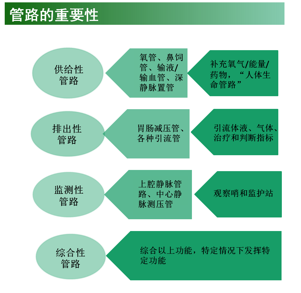 图片 4