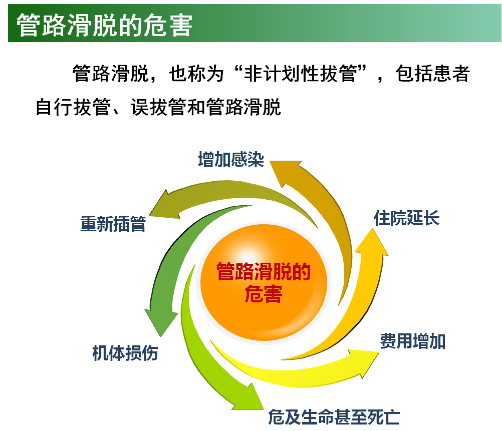 图片 5