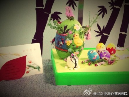 破壳的生机~CCU里办起了插花展！展开生命的翅膀，飞向美好的明天！